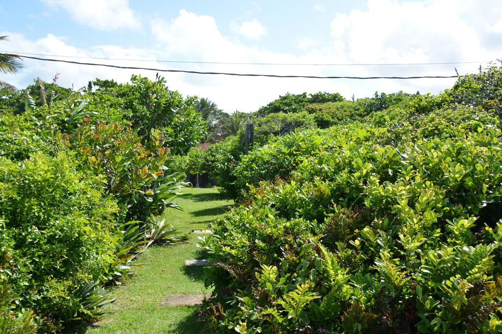 Casa da Ilha do Mel - Pousada de Charme Luaran gambar